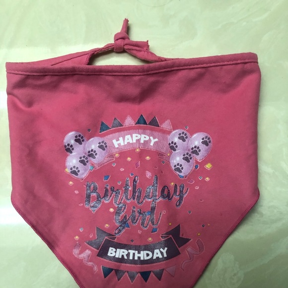 Cute Female Dog Birthday Set - Picture 6 of 8